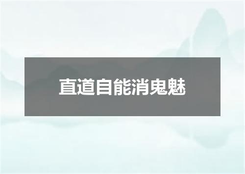 直道自能消鬼魅