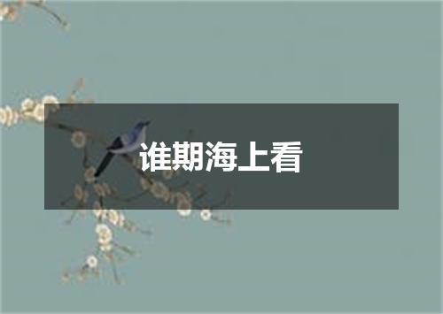 谁期海上看