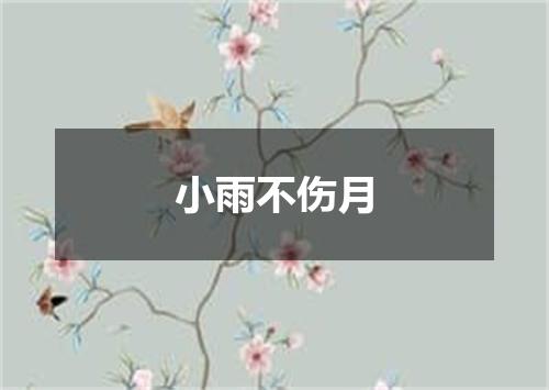 小雨不伤月
