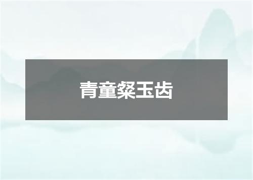 青童粲玉齿