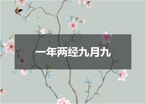 一年两经九月九