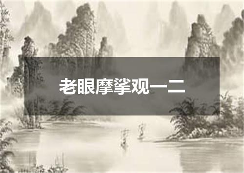 老眼摩挲观一二