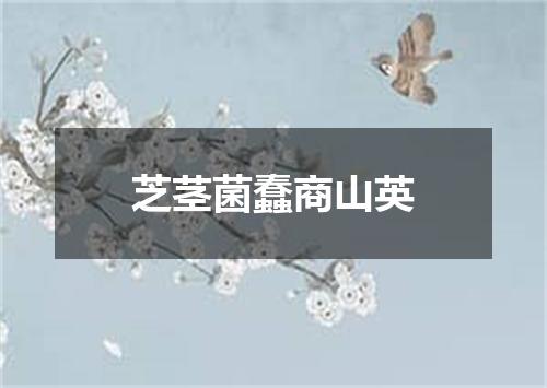 芝茎菌蠢商山英