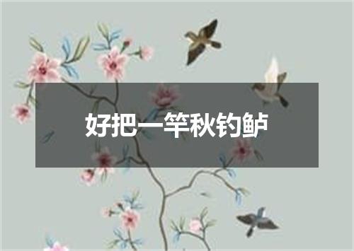 好把一竿秋钓鲈
