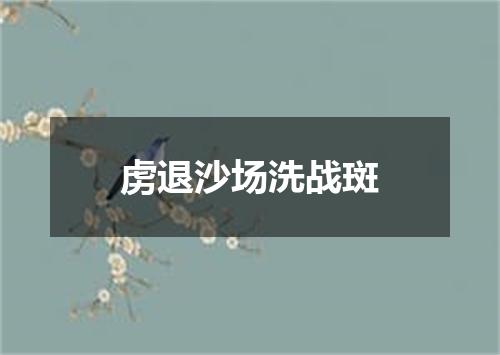 虏退沙场洗战斑