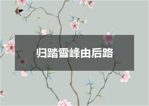 归踏雪峰由后路