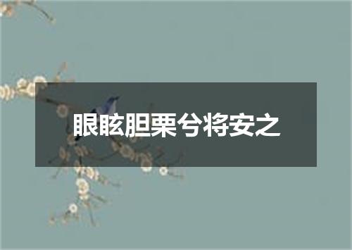 眼眩胆栗兮将安之