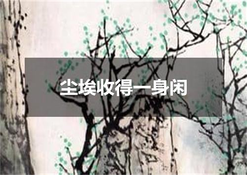 尘埃收得一身闲