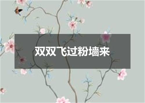 双双飞过粉墙来
