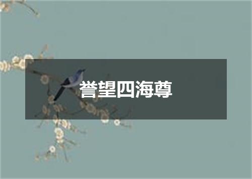 誉望四海尊
