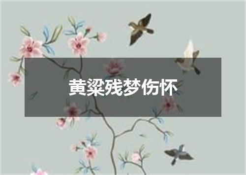 黄粱残梦伤怀