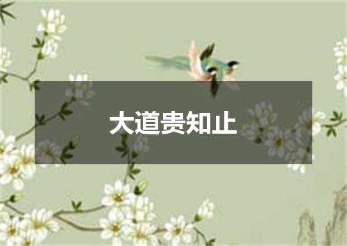 大道贵知止