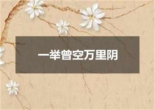 一举曾空万里阴
