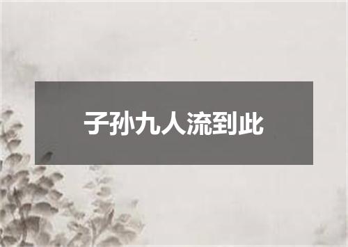 子孙九人流到此