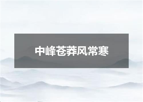 中峰苍莽风常寒