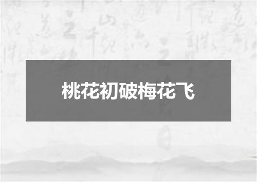 桃花初破梅花飞