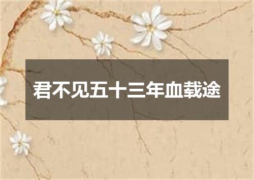 君不见五十三年血载途