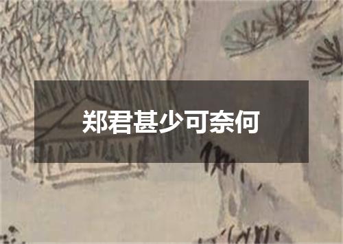 郑君甚少可奈何