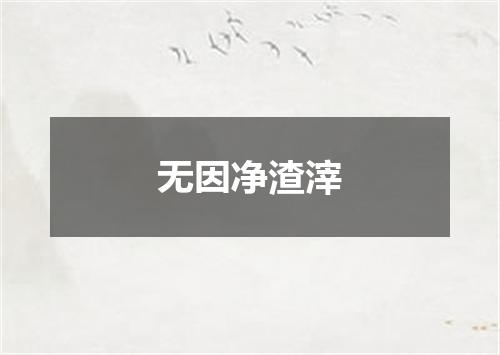 无因净渣滓