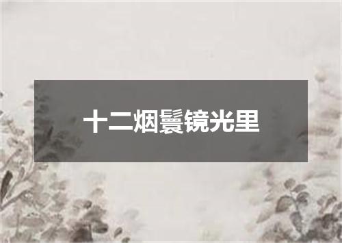 十二烟鬟镜光里