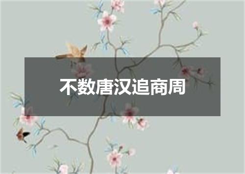 不数唐汉追商周