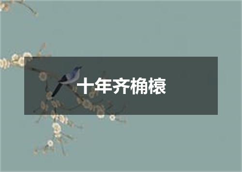 十年齐桷榱