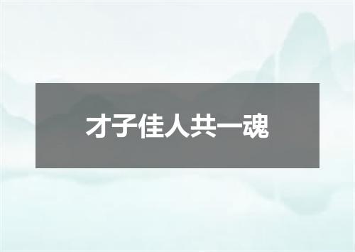 才子佳人共一魂