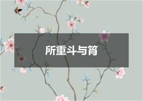 所重斗与筲