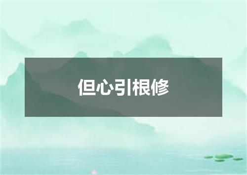 但心引根修