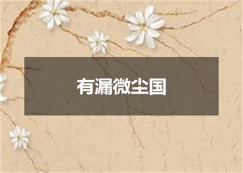有漏微尘国