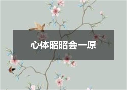 心体昭昭会一原