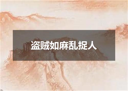 盗贼如麻乱捉人