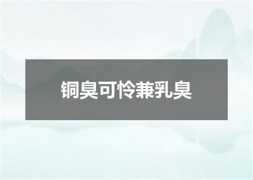 铜臭可怜兼乳臭