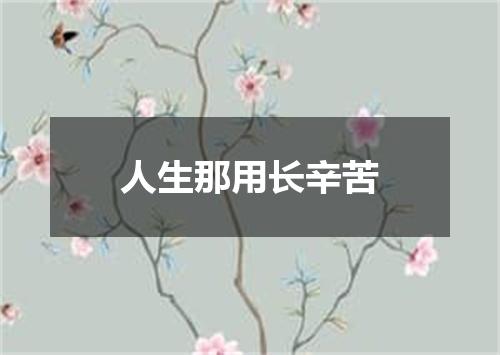 人生那用长辛苦