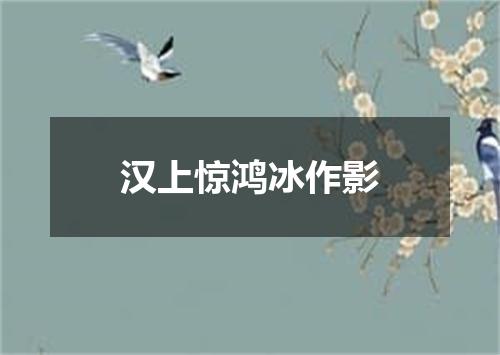 汉上惊鸿冰作影