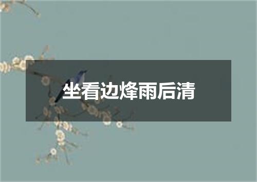 坐看边烽雨后清