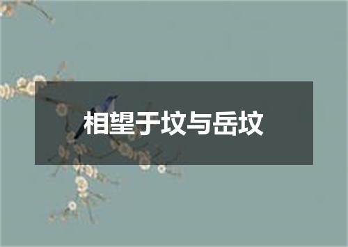 相望于坟与岳坟