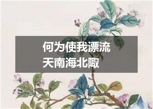 何为使我漂流天南海北陬