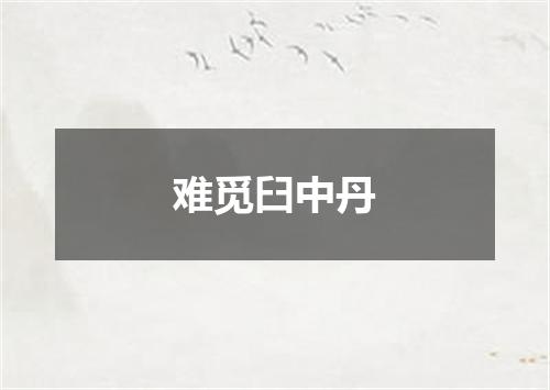 难觅臼中丹