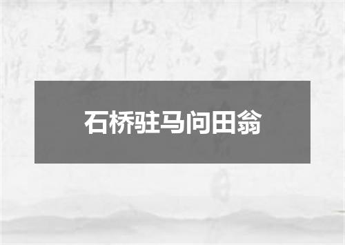 石桥驻马问田翁