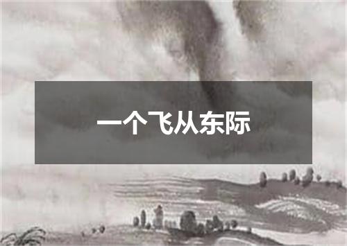 一个飞从东际