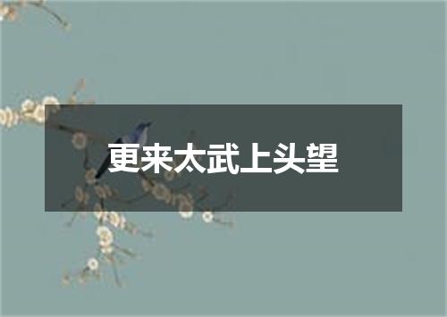 更来太武上头望