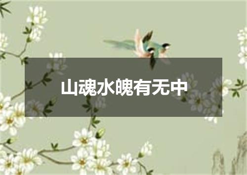 山魂水魄有无中