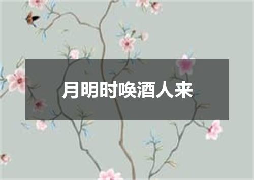 月明时唤酒人来