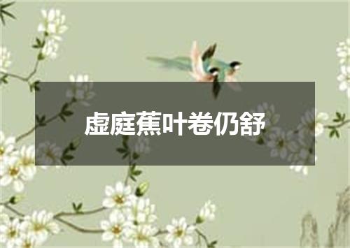 虚庭蕉叶卷仍舒