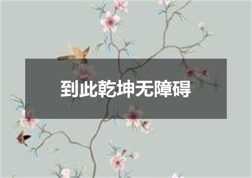 到此乾坤无障碍