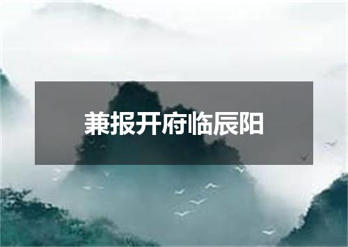 兼报开府临辰阳
