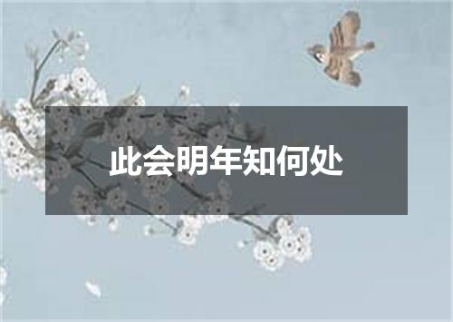 此会明年知何处