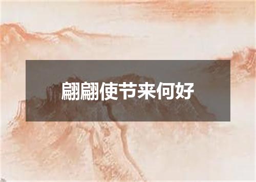 翩翩使节来何好