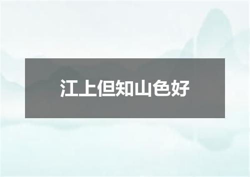 江上但知山色好